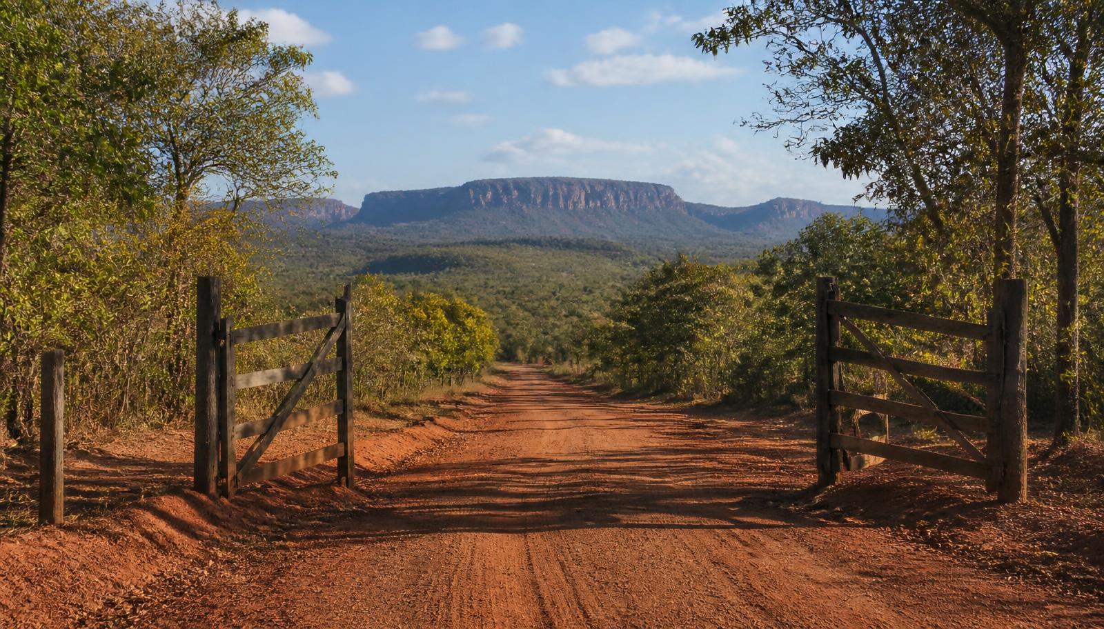 Red earth road leading toward the plateaus of Chapada dos Veadeiros