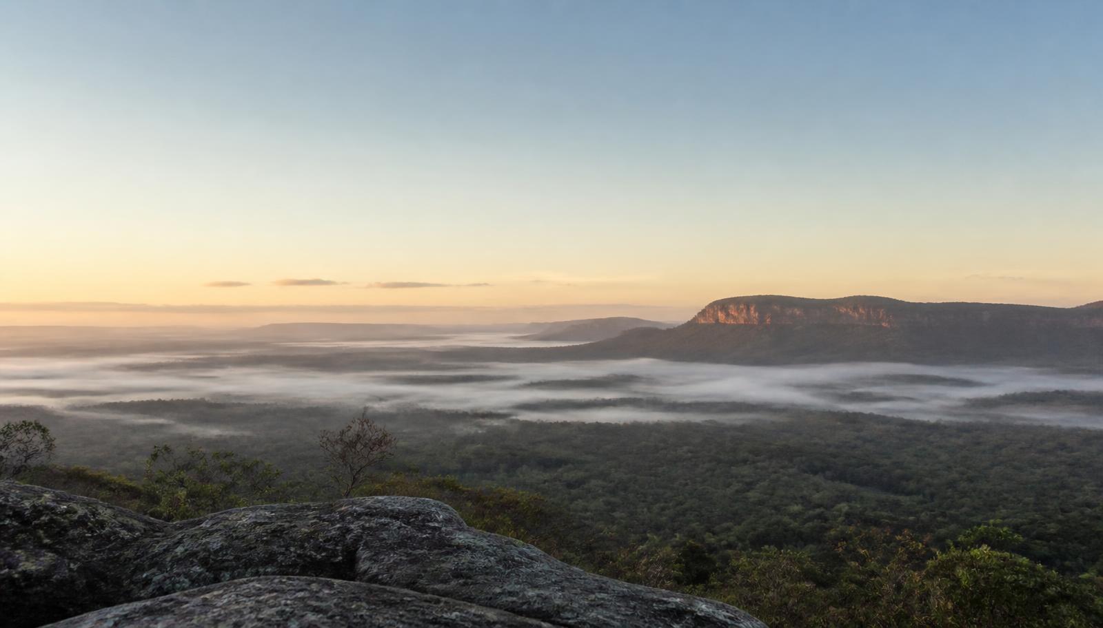 Morning mist over a Cerrado valley at first light