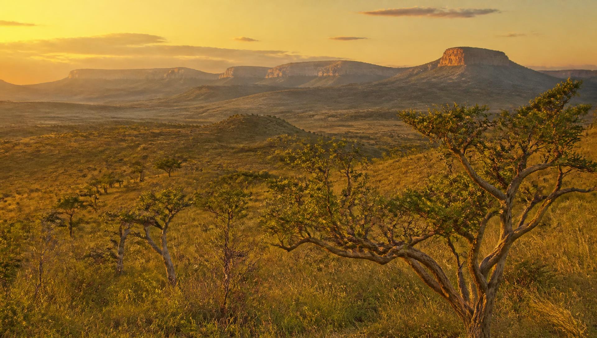 Paisagem do Cerrado na hora dourada, com montanhas de topo plano ao fundo